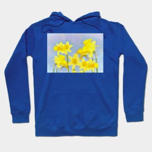 Spring Daffodil Flowers Hoodie